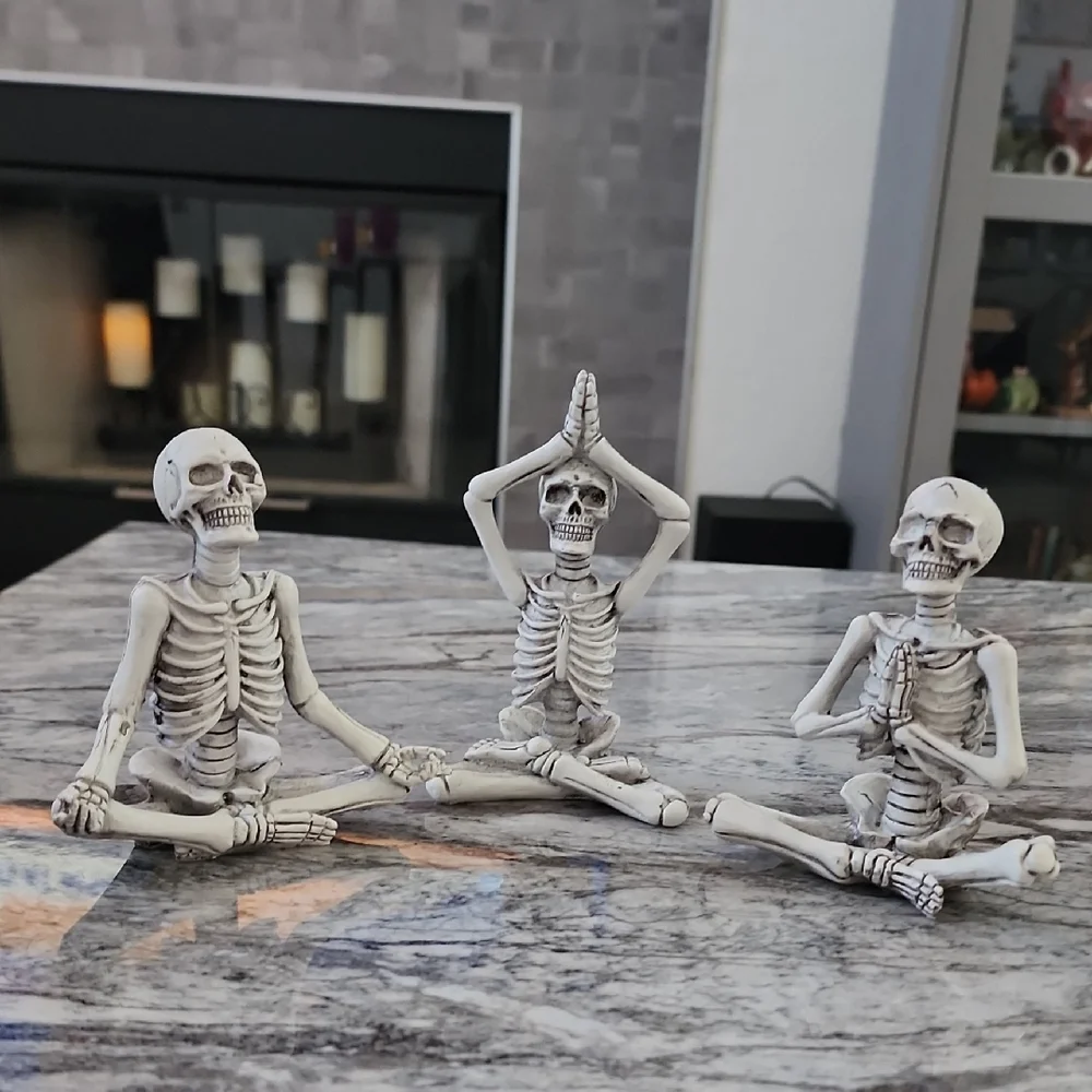 Trader Joe's Yoga Skeletons Set Of 3